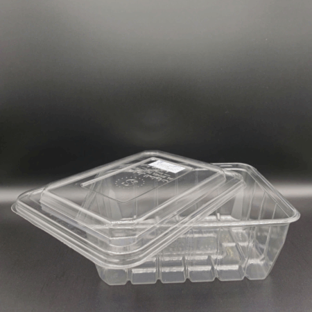 Hộp Nhựa Box 175