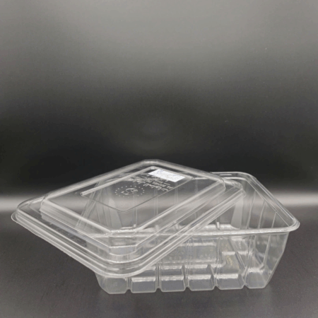 Hộp Nhựa Box 300