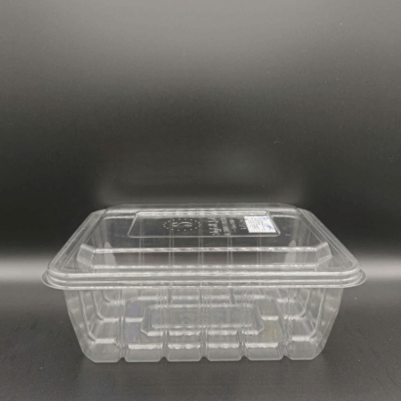 Hộp Nhựa Box 300