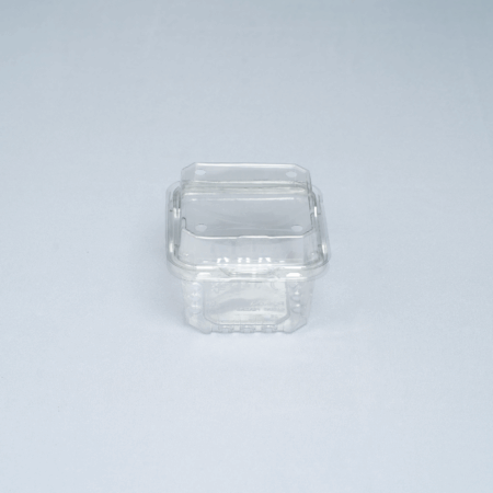 Hộp Nhựa P250A
