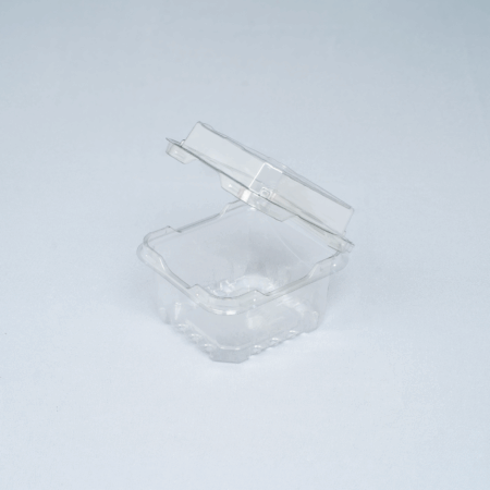 Hộp Nhựa P250A