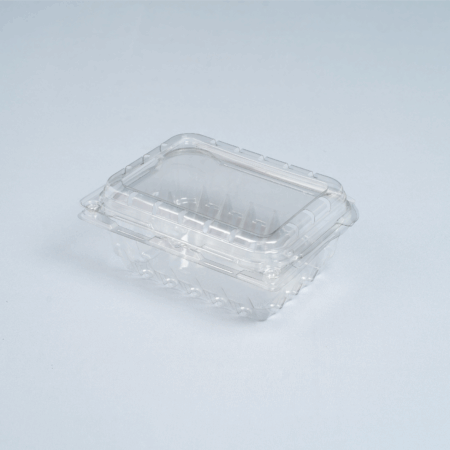 Hộp Trái Cây 500g Nhựa PET