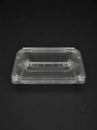 Hộp Nhựa LP250G